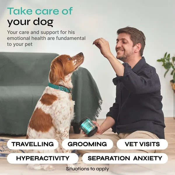 Hemp Calming Chews For Dog Anxiety Relief Duck Favor Calming Treats