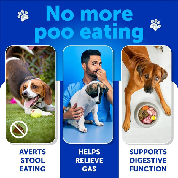 No Poo Chews For Dogs Puppy