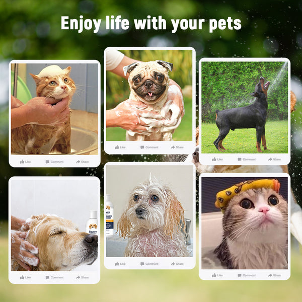 Pet Washing And Protection Supplies Anti-mite Protection