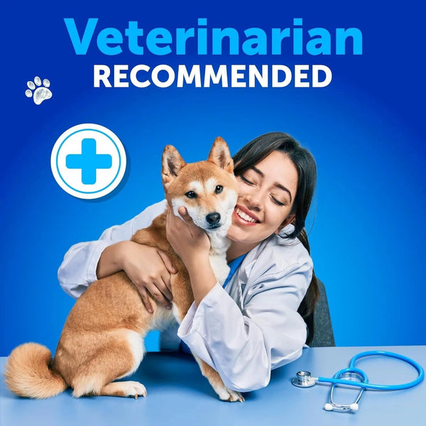 Dog Allergy Relief Chews Itching Skin Relief For Dogs