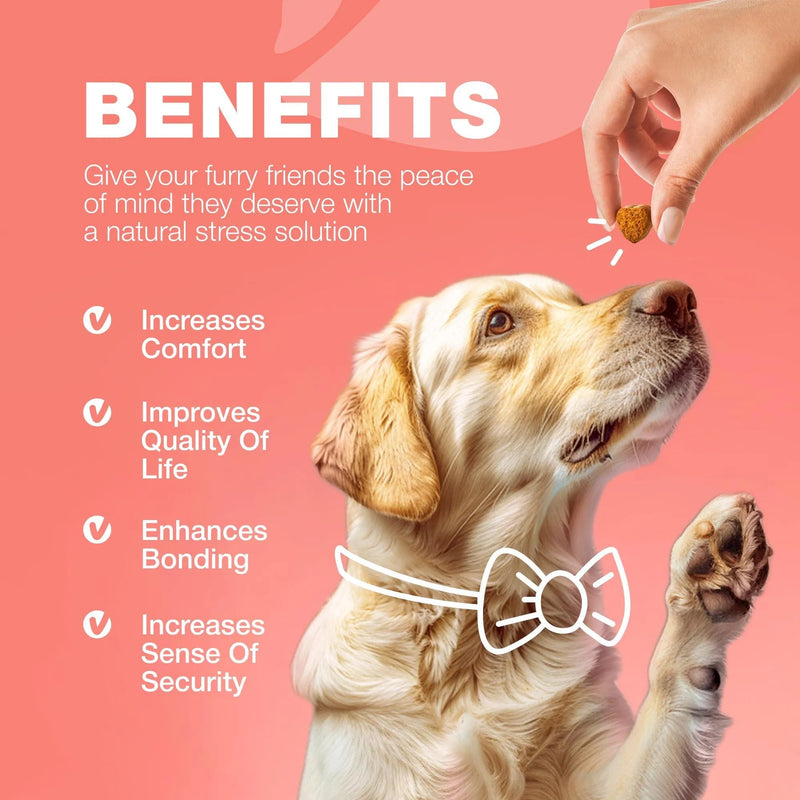 Dog Flea And Tick Treatment Chews FleaTick Prevention