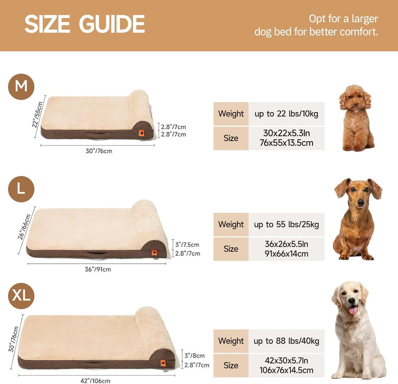 Orthopedic Dog Bed For Medium Dogs