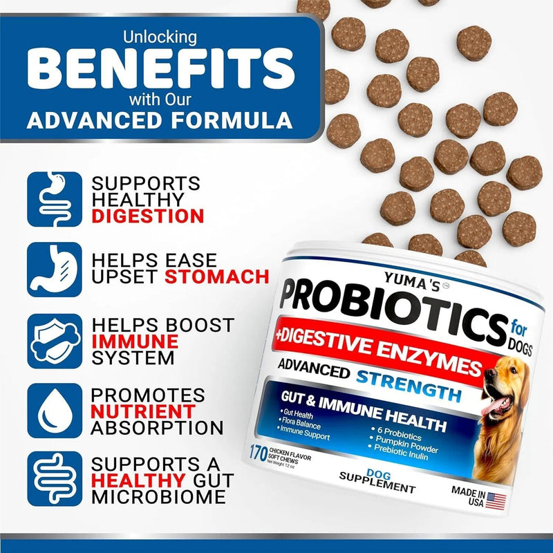 2 Pack Probiotics For Dogs And Digestive Enzymes Dog Probiotics Chews