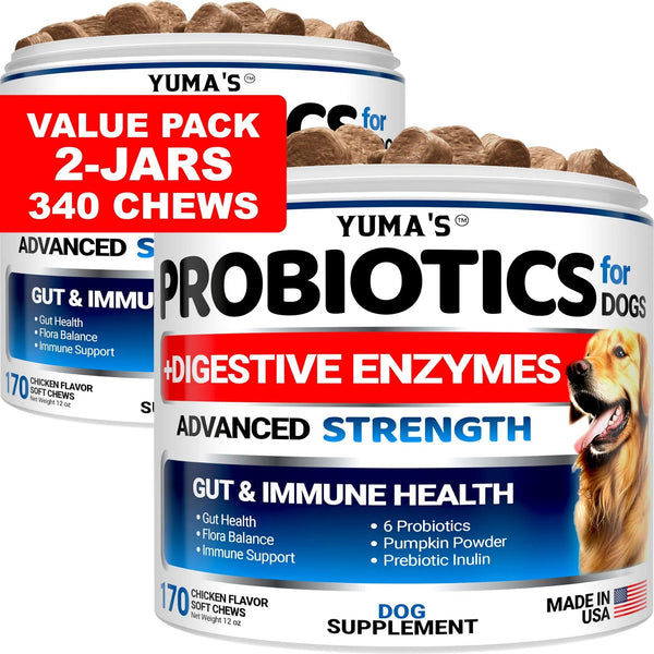 2 Pack Probiotics For Dogs And Digestive Enzymes Dog Probiotics Chews