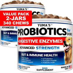 2 Pack Probiotics For Dogs And Digestive Enzymes Dog Probiotics Chews