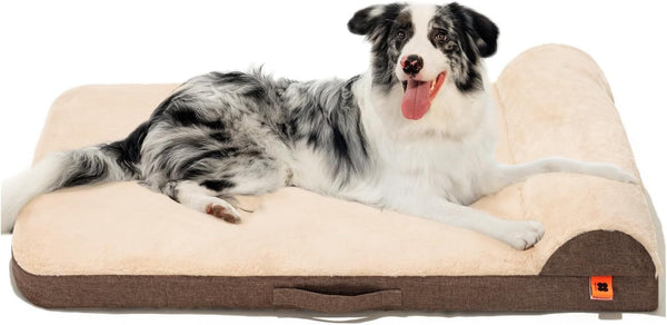 Orthopedic Dog Bed For Medium Dogs