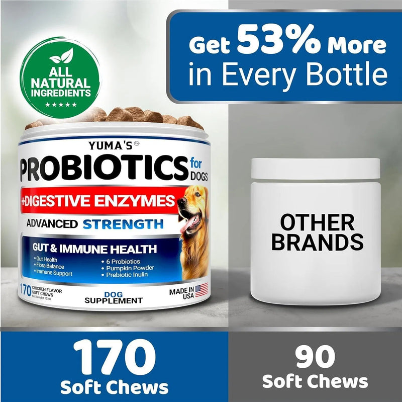 2 Pack Probiotics For Dogs And Digestive Enzymes Dog Probiotics Chews