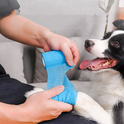 CleanPaw Outdoor Puppy Protector