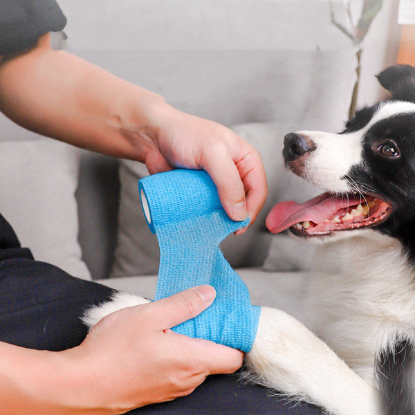 CleanPaw Outdoor Puppy Protector