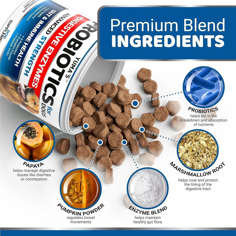 2 Pack Probiotics For Dogs And Digestive Enzymes Dog Probiotics Chews