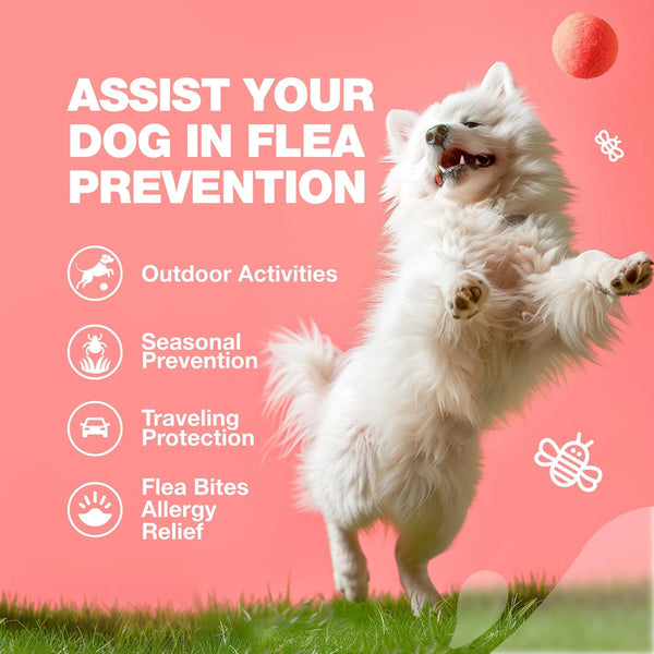 Dog Flea And Tick Treatment Chews FleaTick Prevention